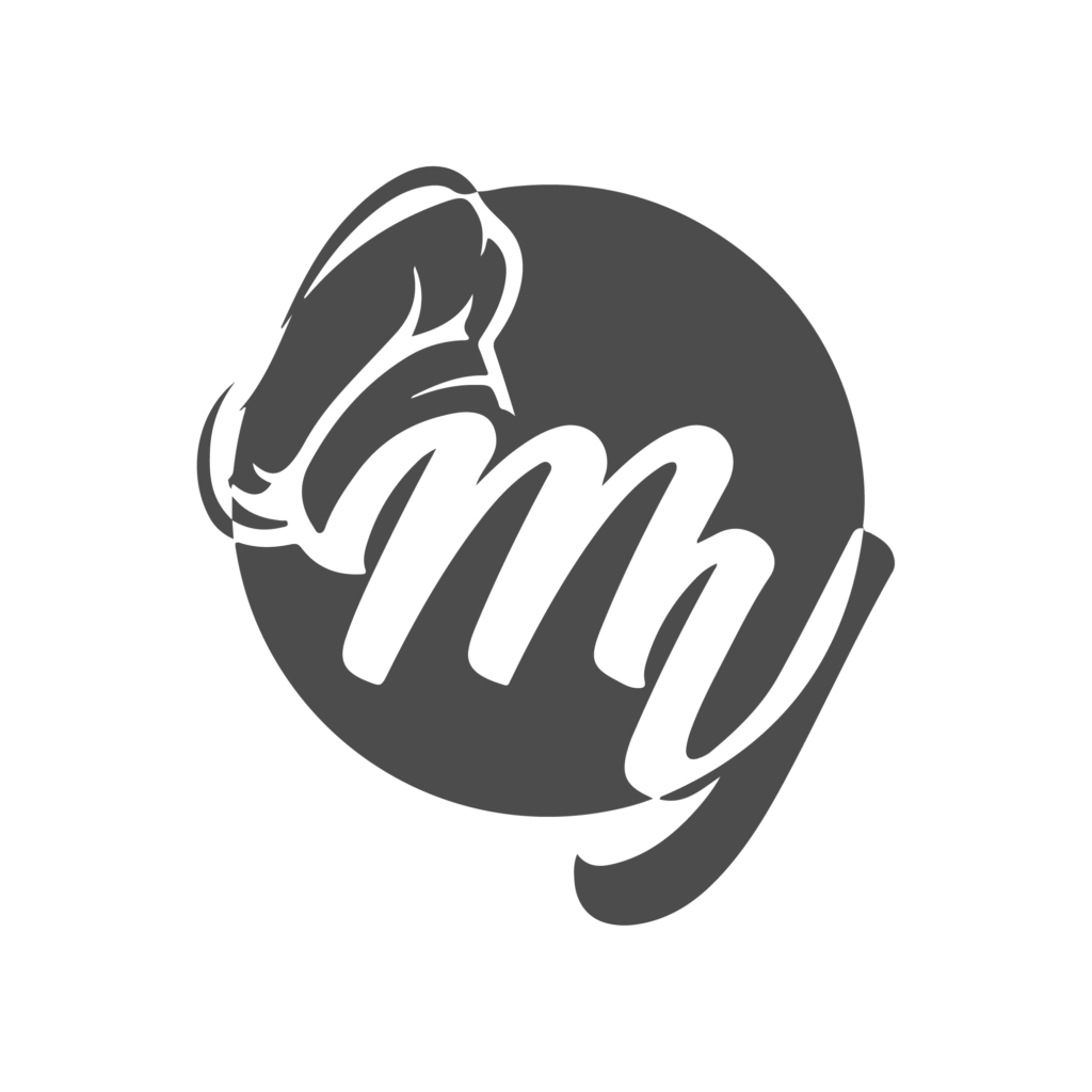 Logo Metálicas Yánez